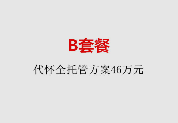 广州B套餐：代怀全托管方案46万元